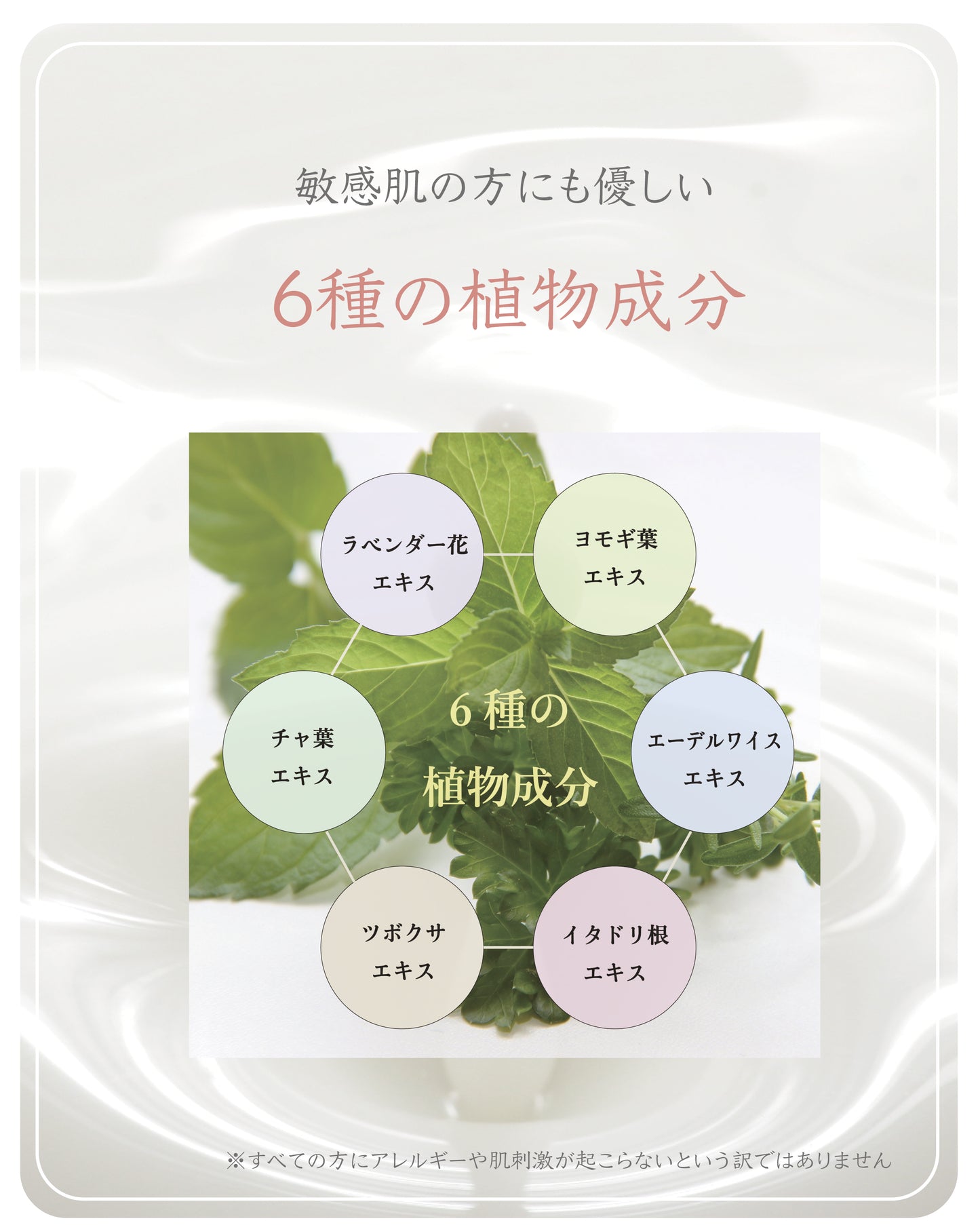 ECRU -BEAUTY ESSENCE SOFTENER-/500ml 2本セット