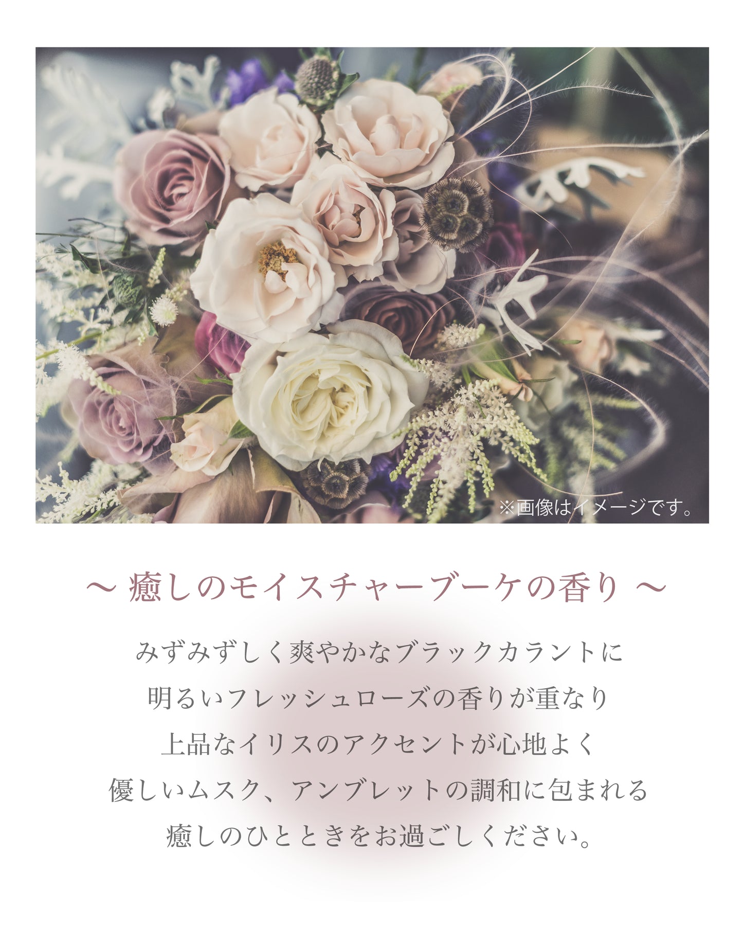 ECRU -BEAUTY ESSENCE SOFTENER-/500ml 2本セット
