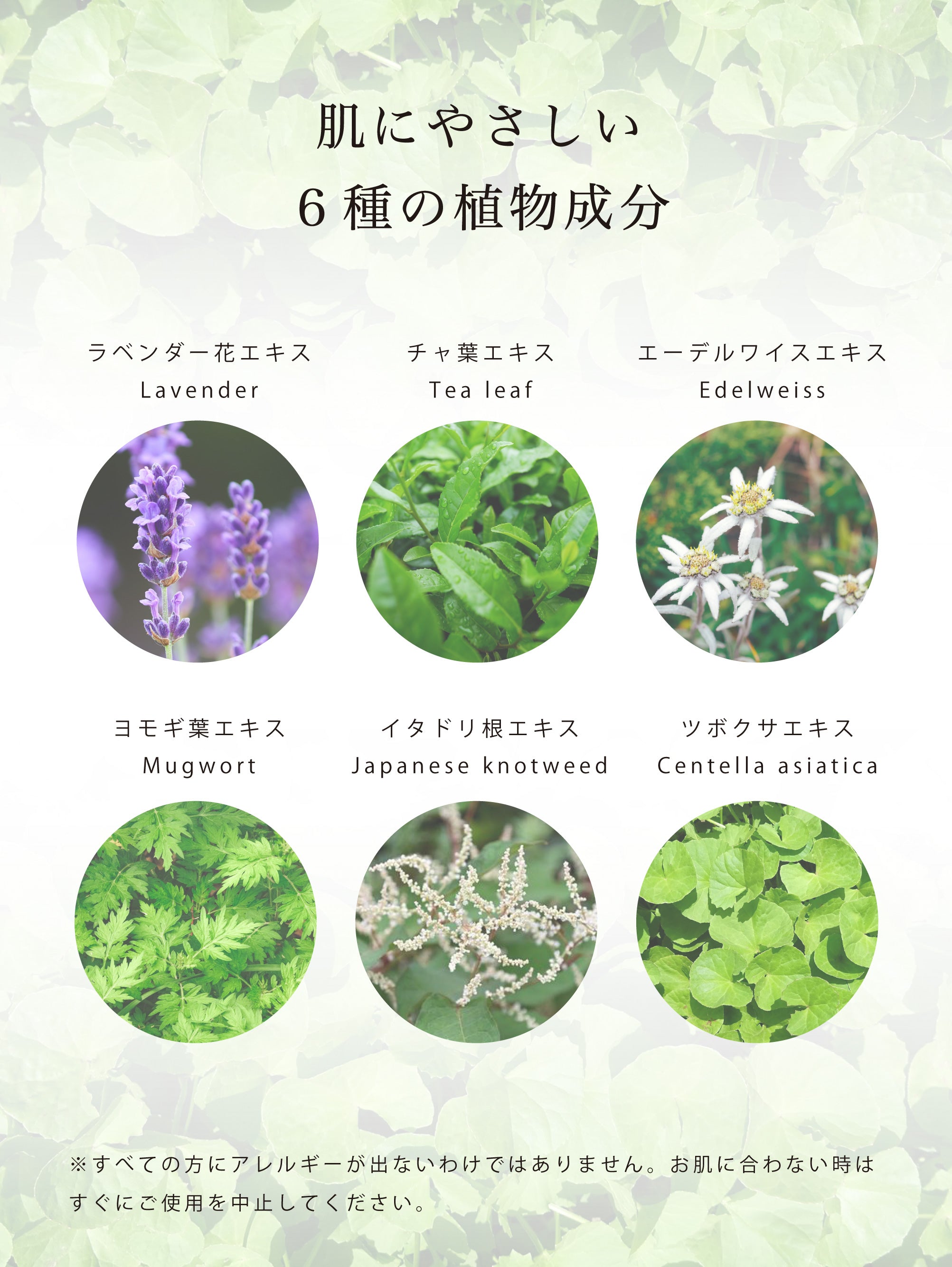 ECRU -BEAUTY ESSENCE SOFTENER-/450ml