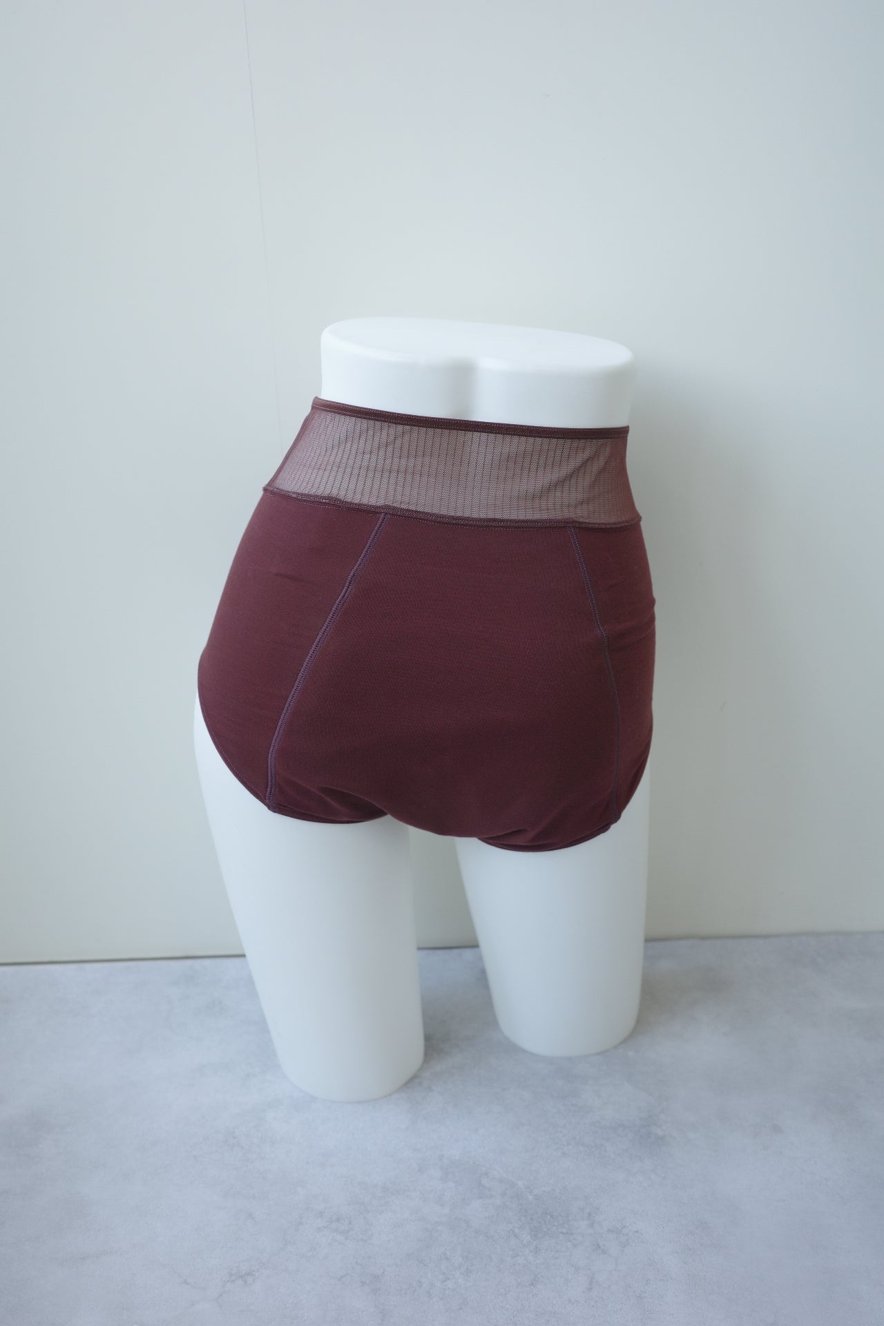 〈2026AW〉SHEER NET STRIPE PERIOD SHORTS